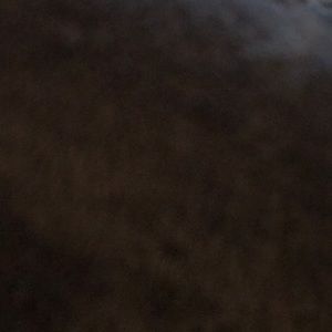 Meet your Posher, Priya